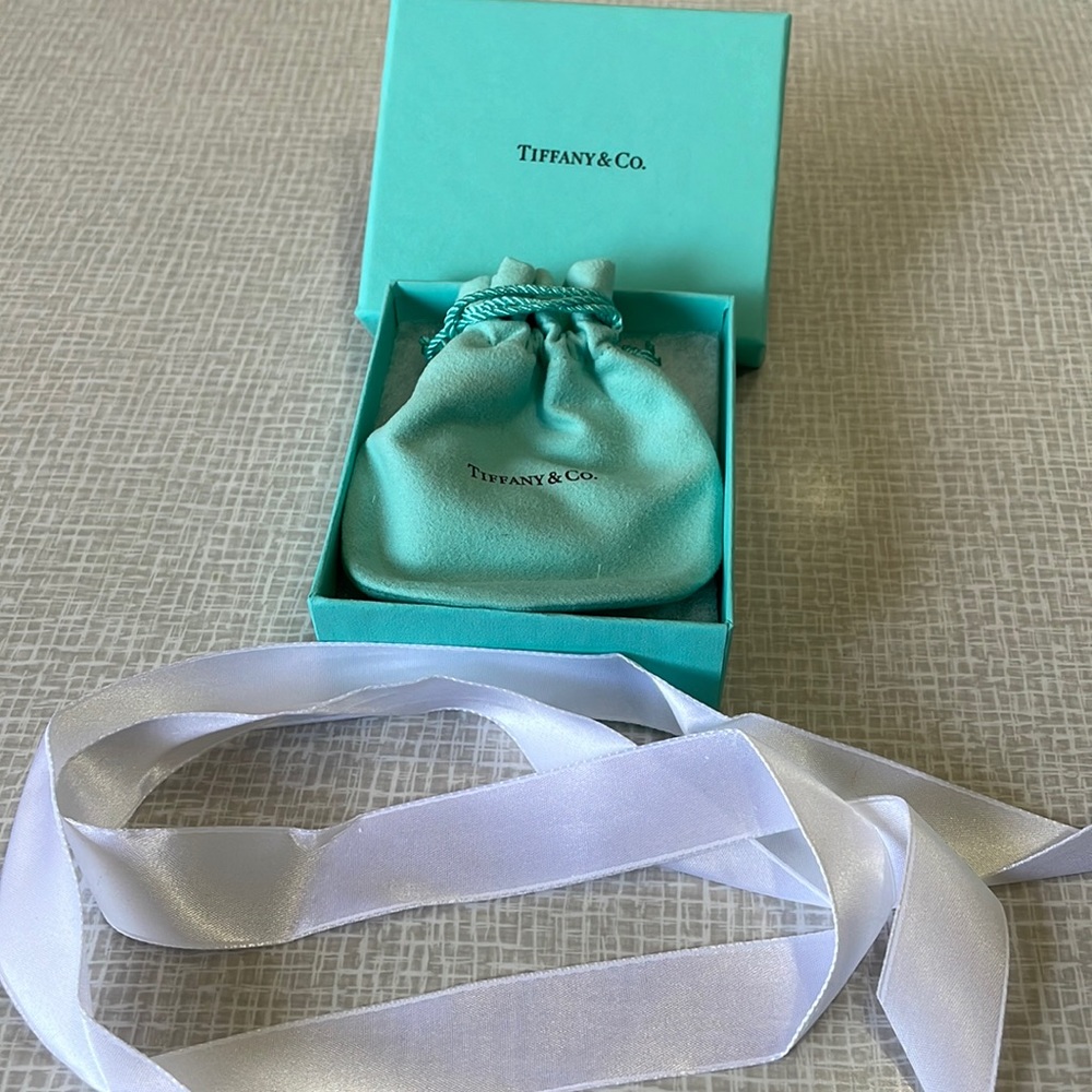 Tiffany & Co. gift bag, box, and dust bag bundle!